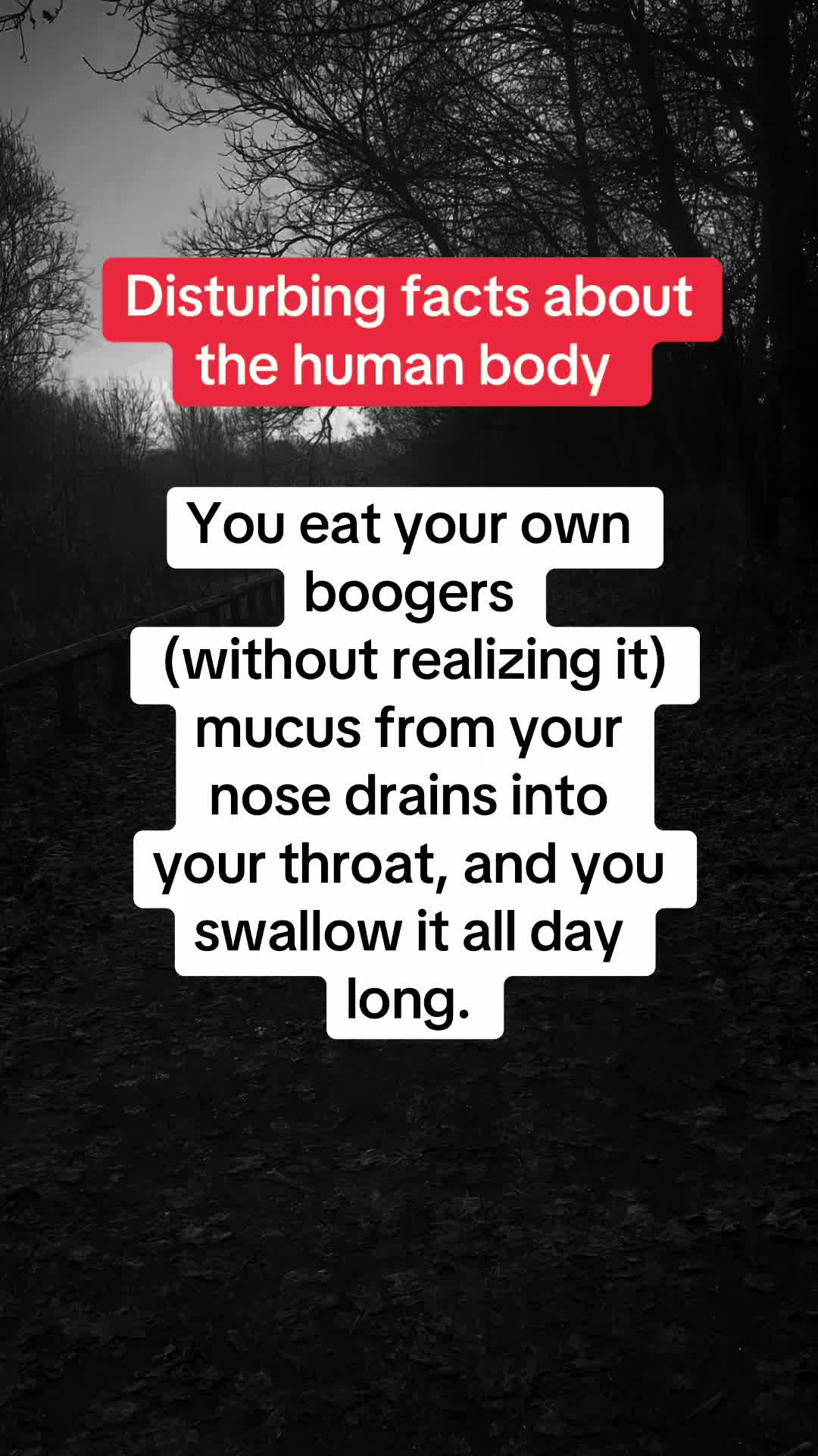 @Daily facts