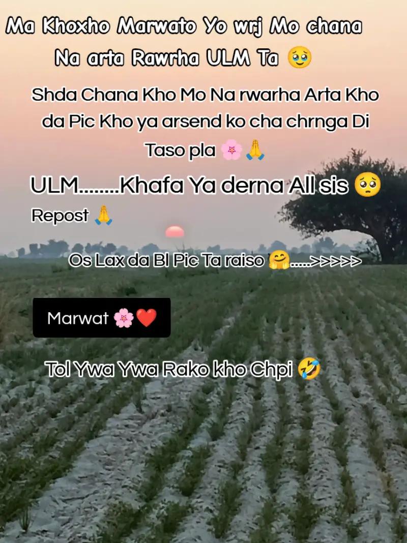 @Nila❤Marwat🌺