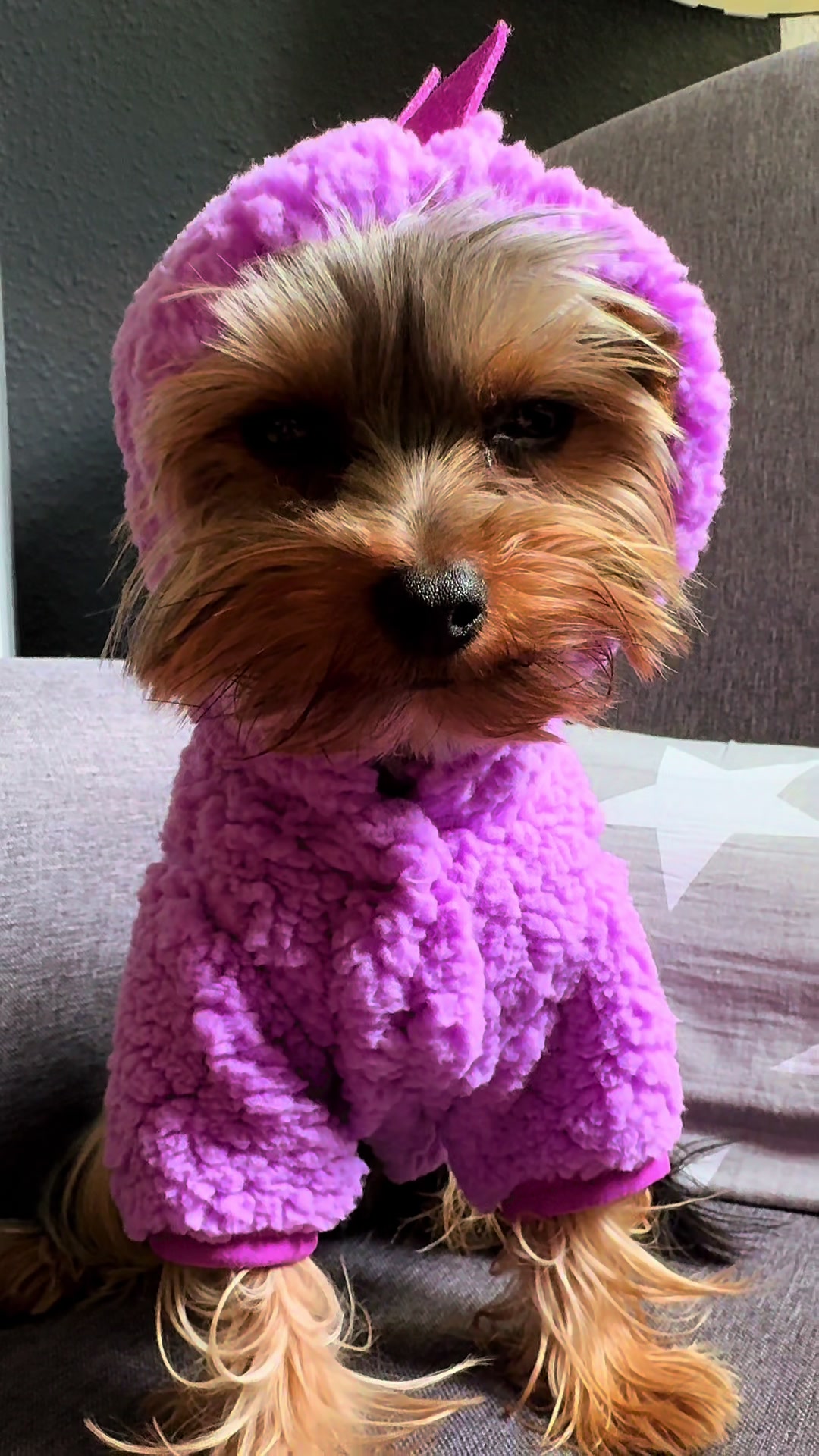 @teddyfromyork