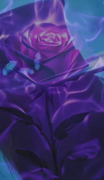 @𝕮𝖆𝖗𝖑