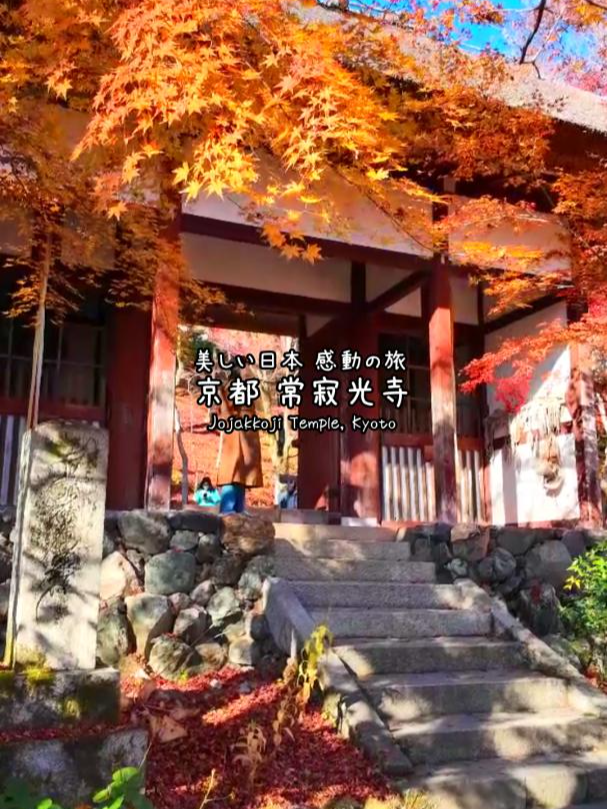@美しい日本 感動の旅