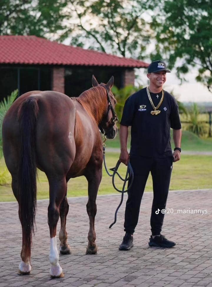 @Juan Anzola 🤠