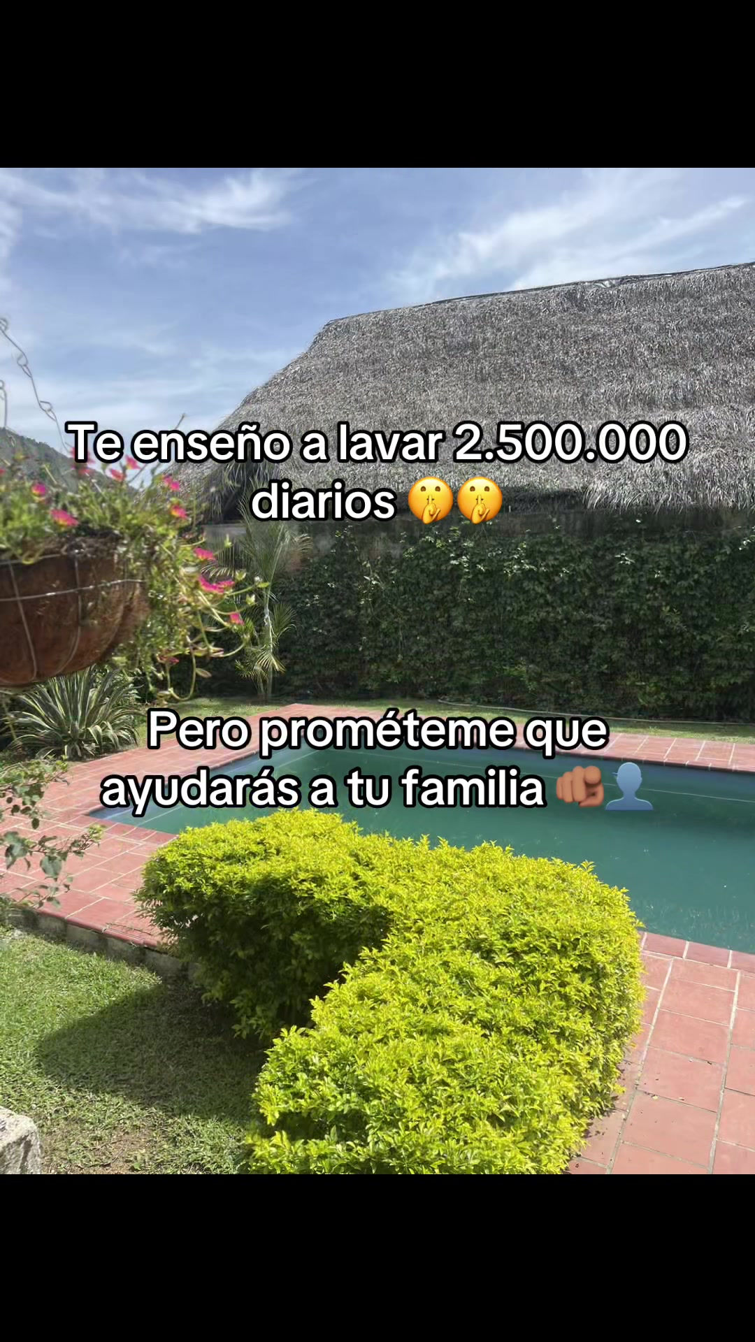 @LINK EN MI PERFIL ✅
