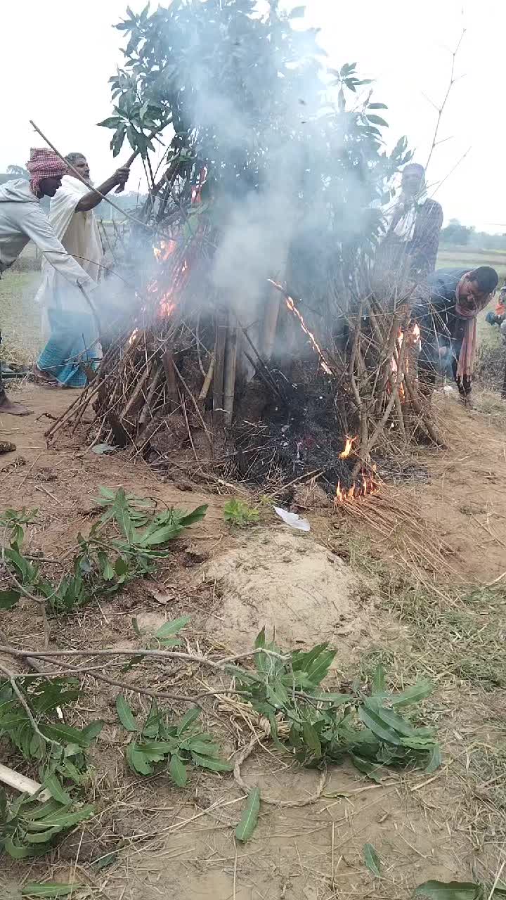@Shivdhan Yadav