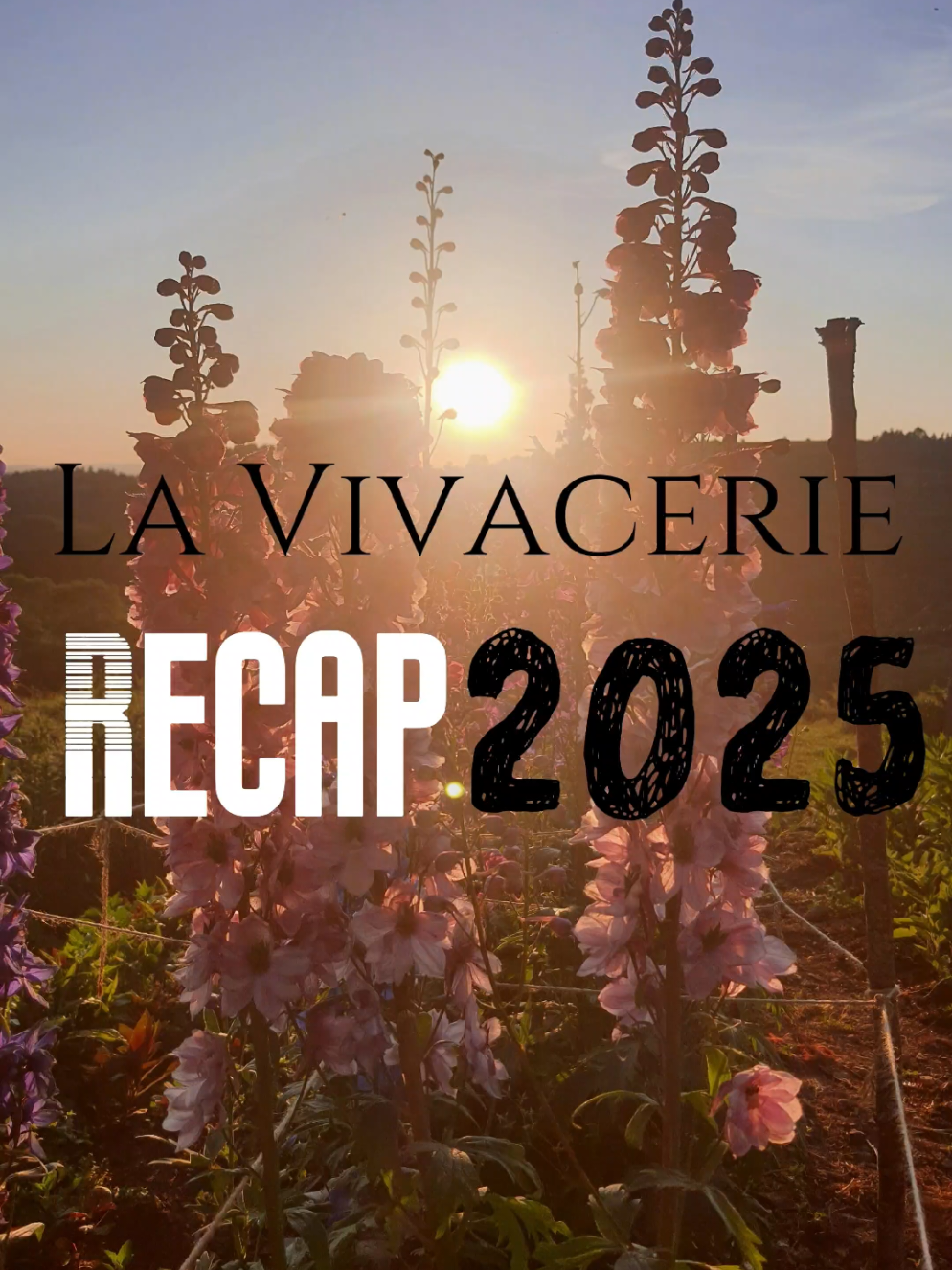 @La Vivacerie