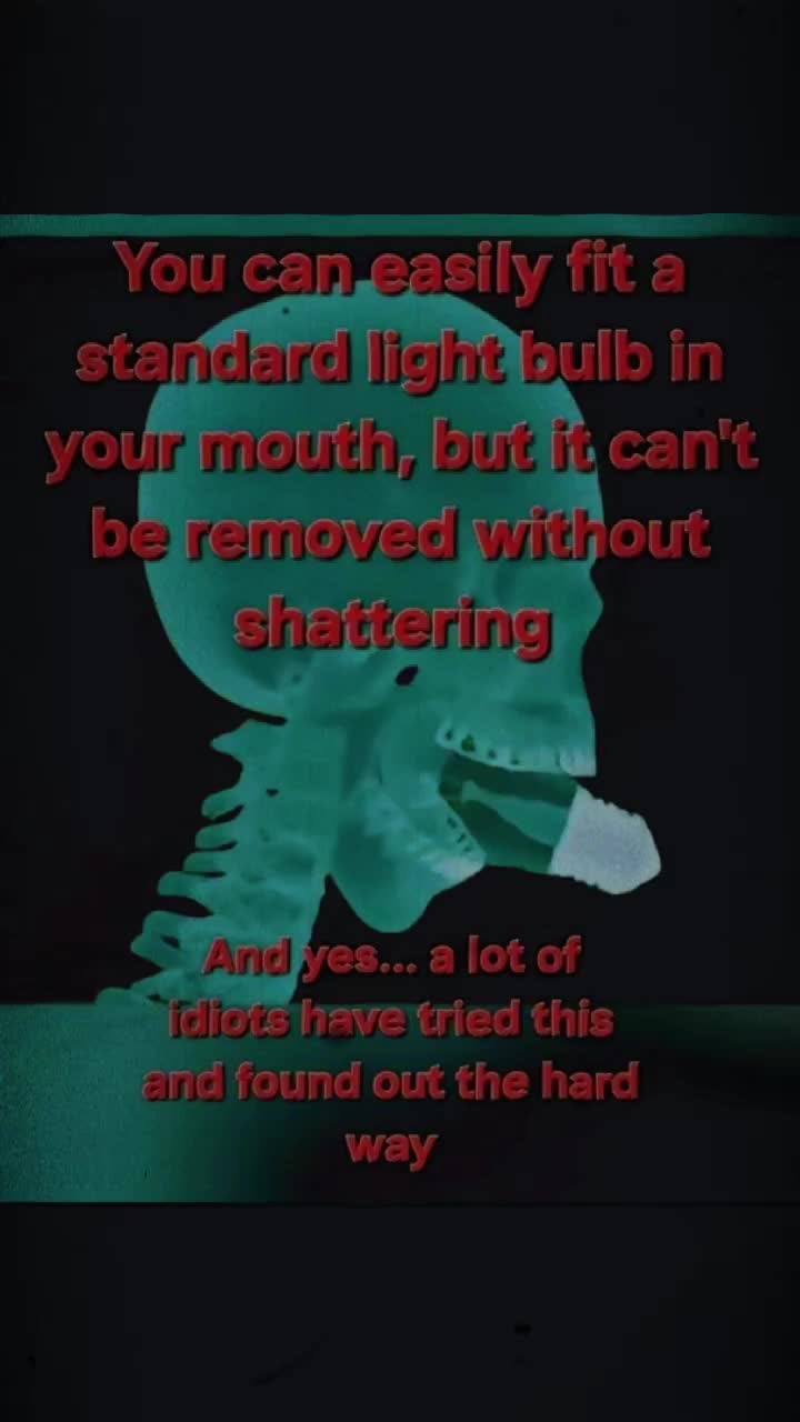 @TheMemeBender