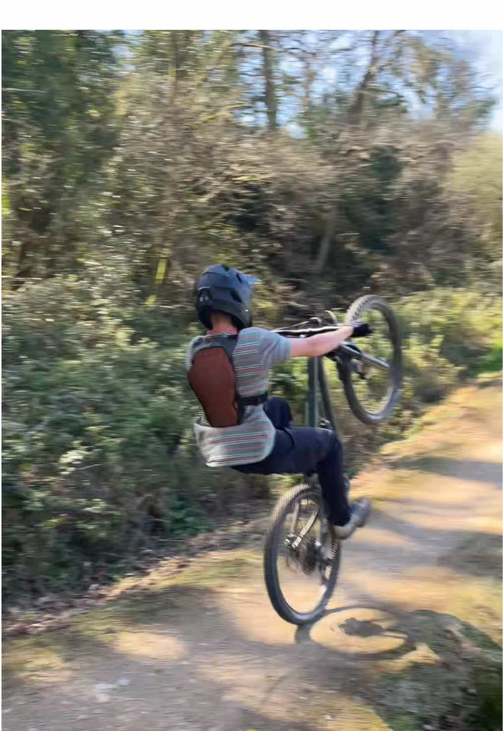 @tobyy🌲