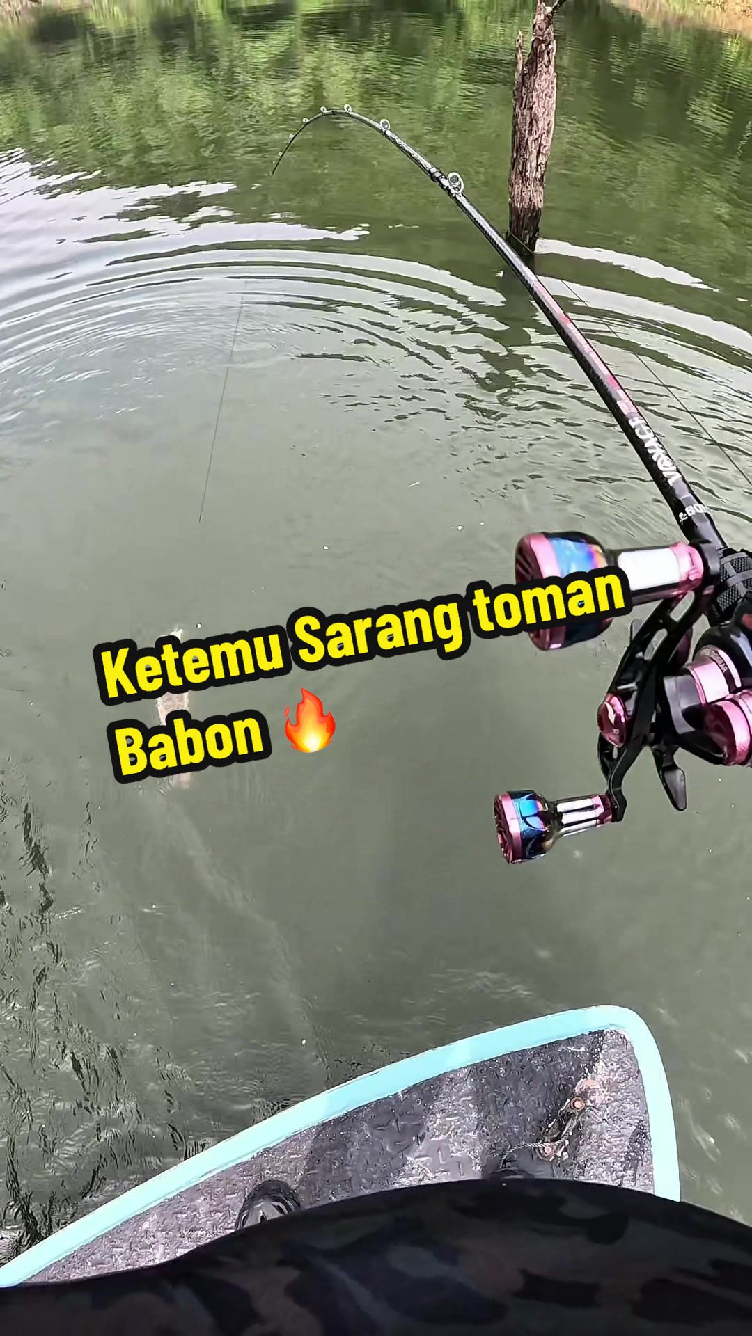 @tomy prasetio