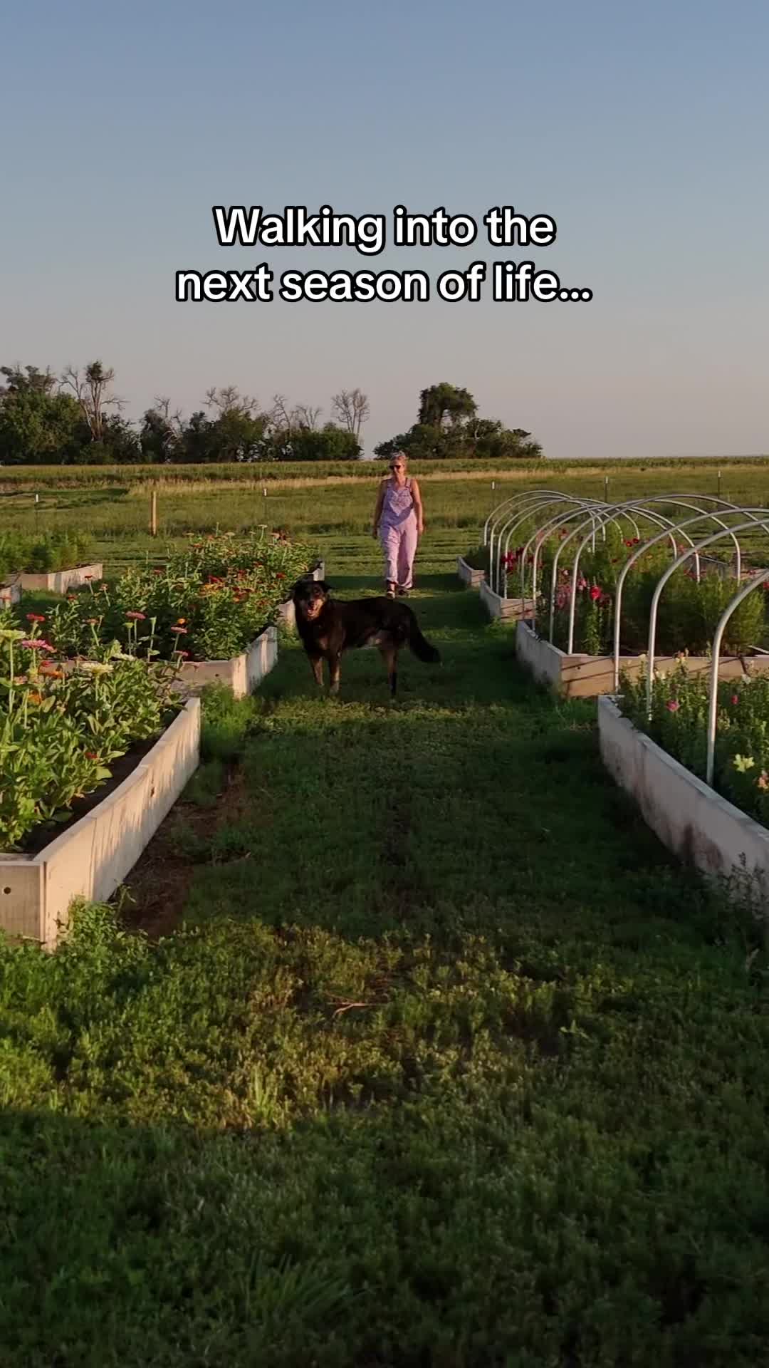 @Sandy Acres Farm