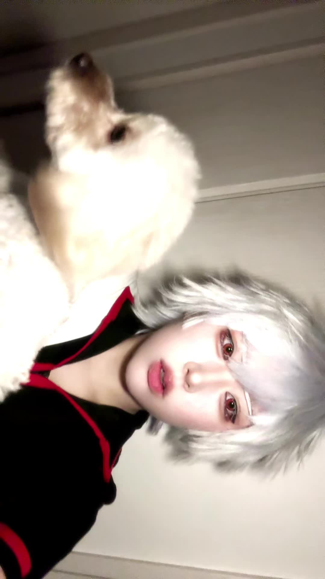 @のら🐶ྀི