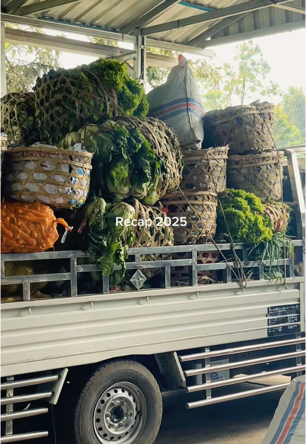 @tukangSAYUR🥕