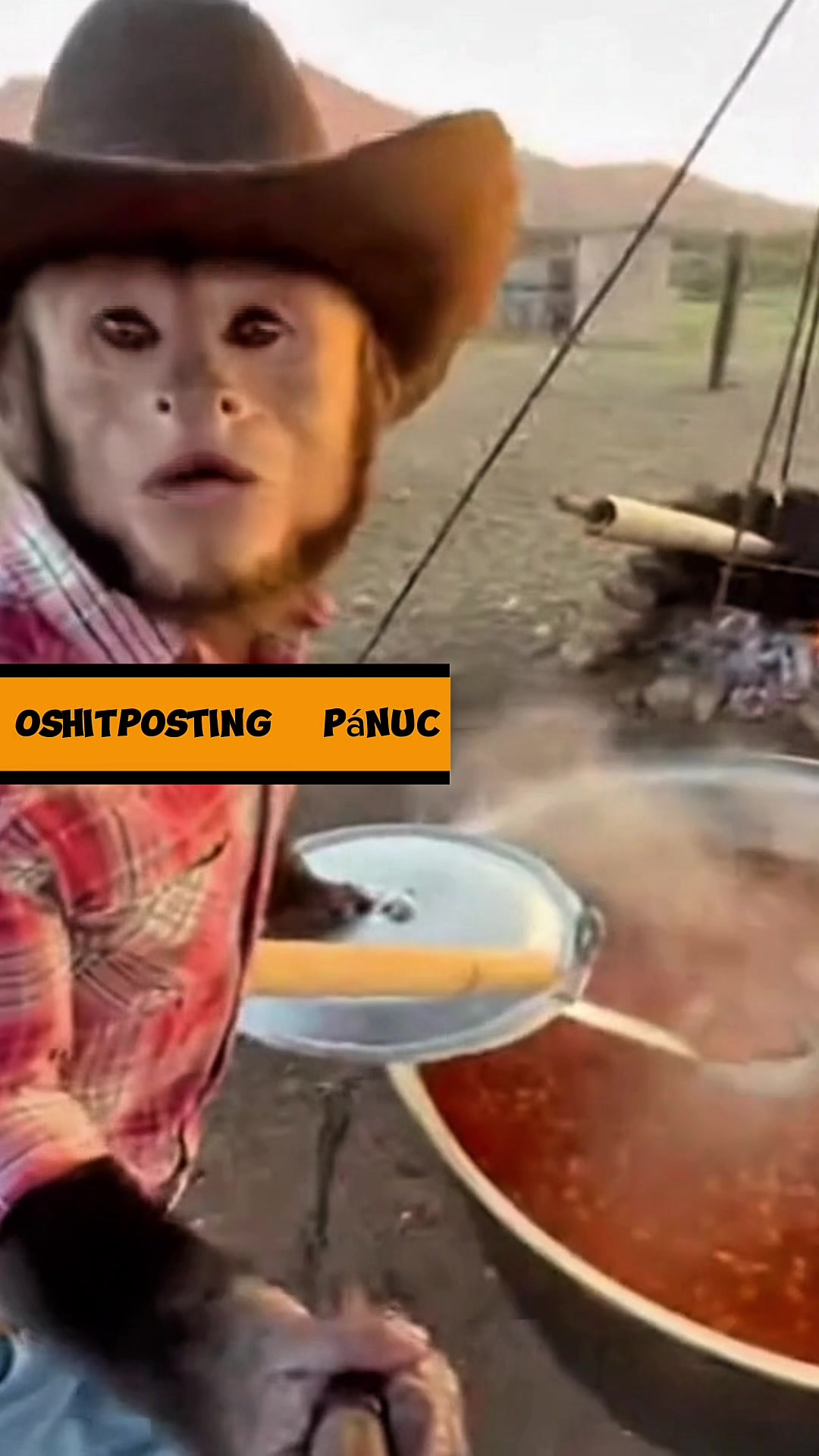 @PánucoShitposting