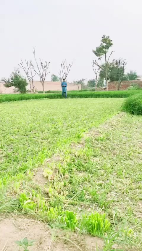 @Asif jan