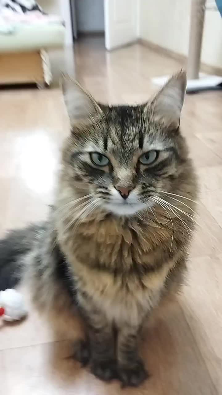 @Марсик😺💖