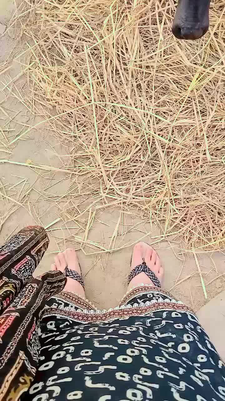@راجا جي وڏيري
