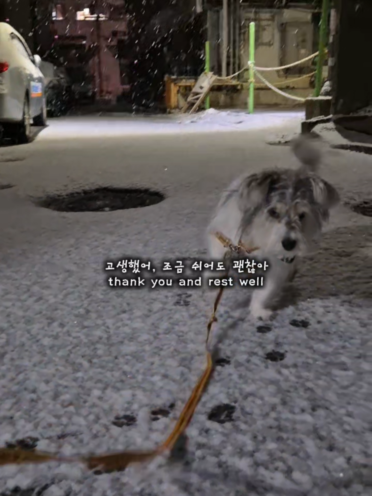 @춘가드