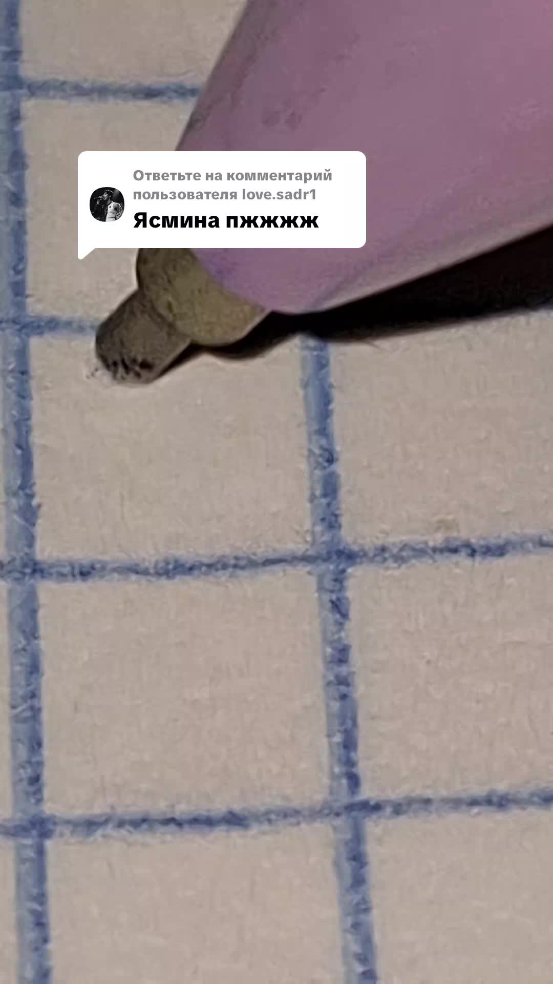 @Введите никнейм