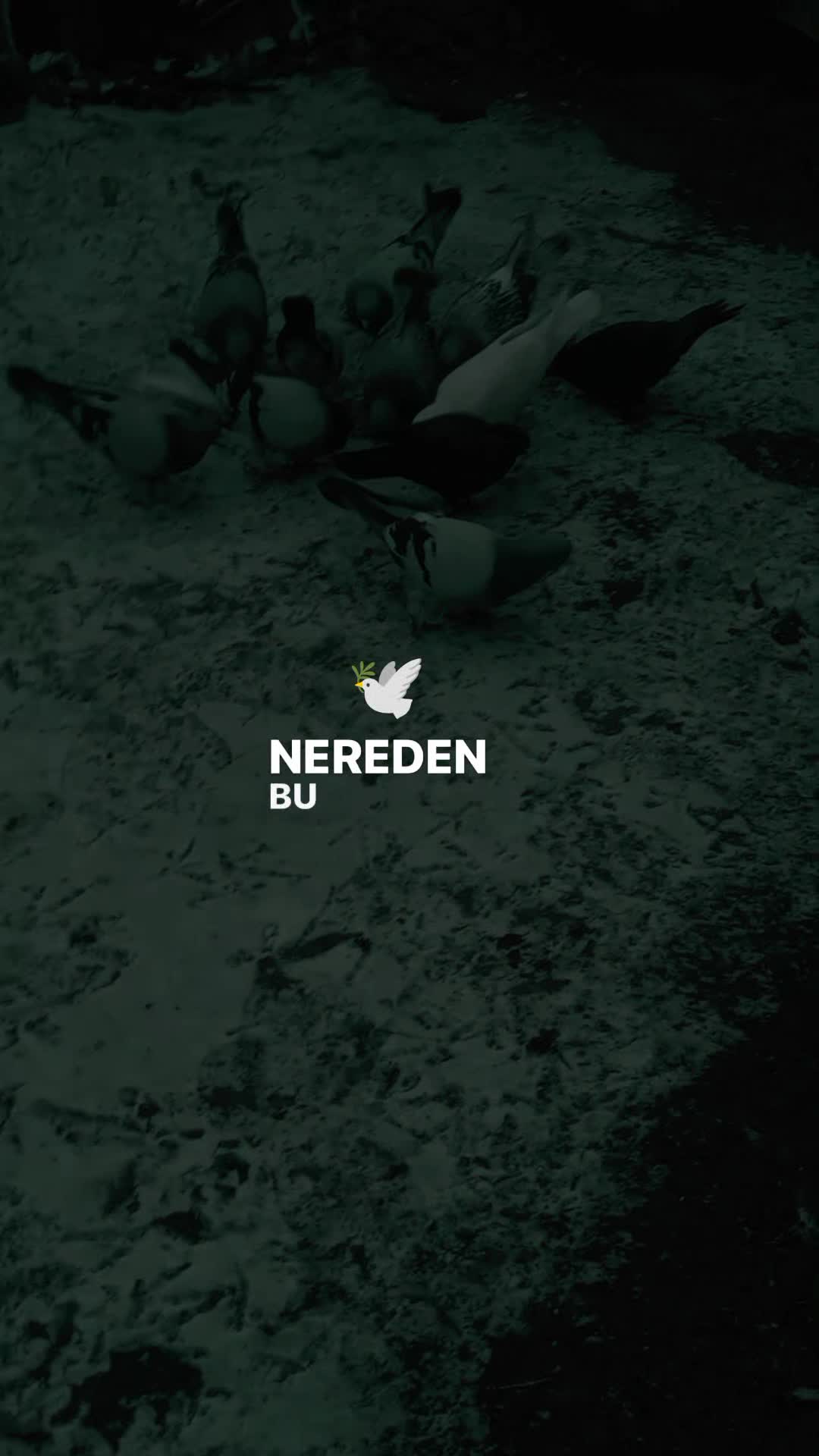 @𝗞𝗮𝗿𝘁𝗮𝗹𝟰𝟮