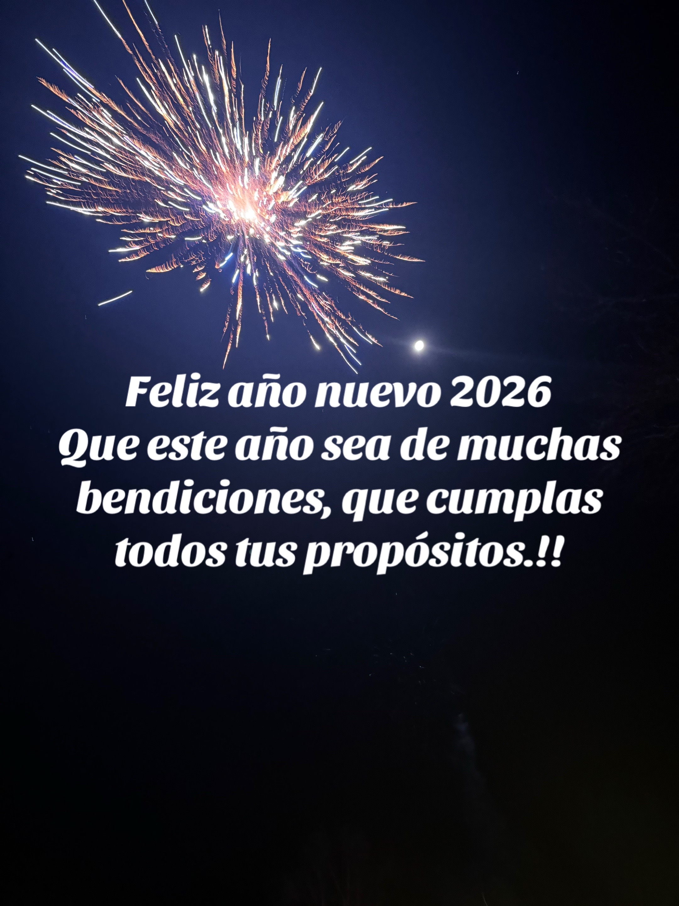 @Aurora Moreno
