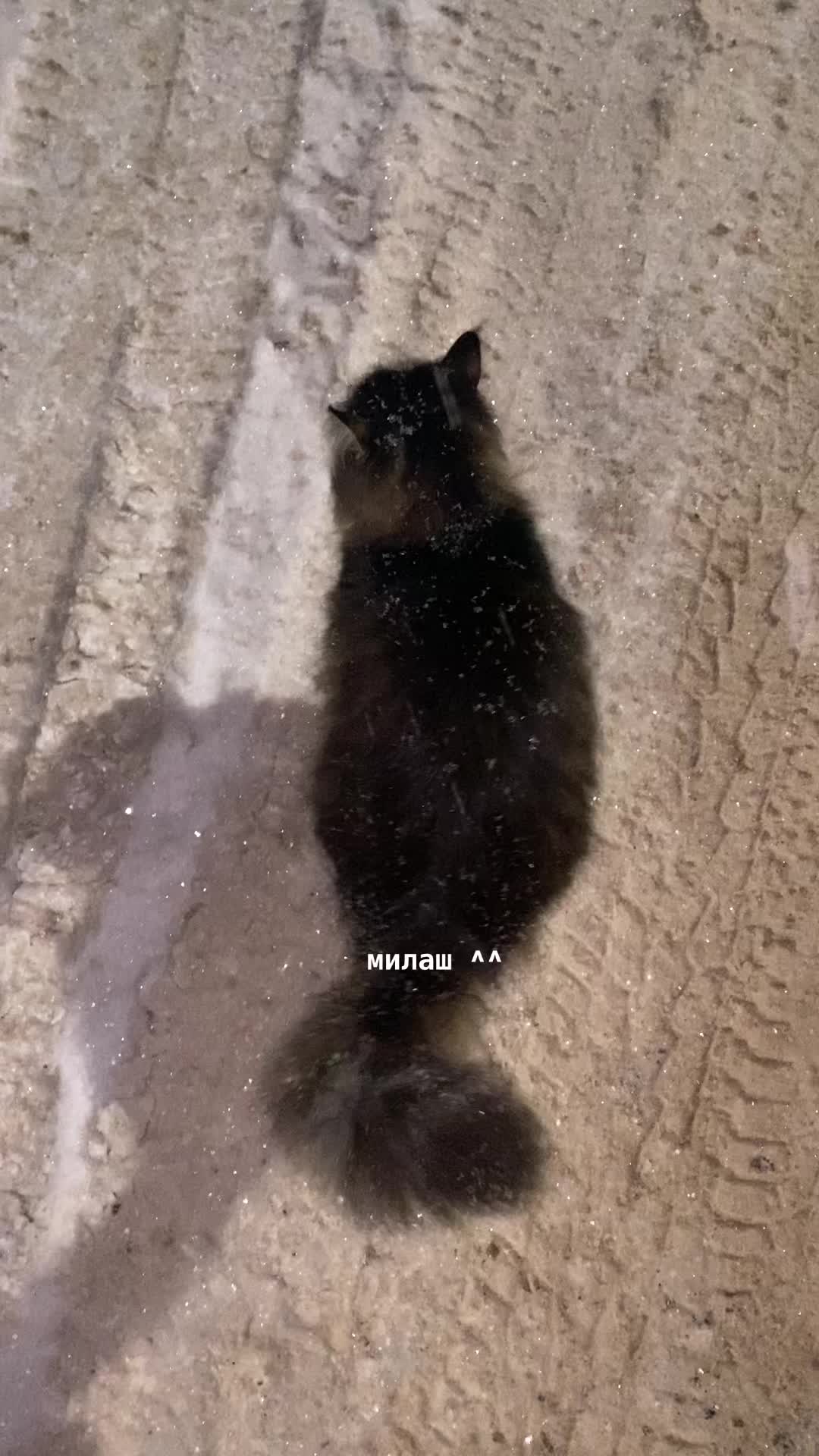 @Маня