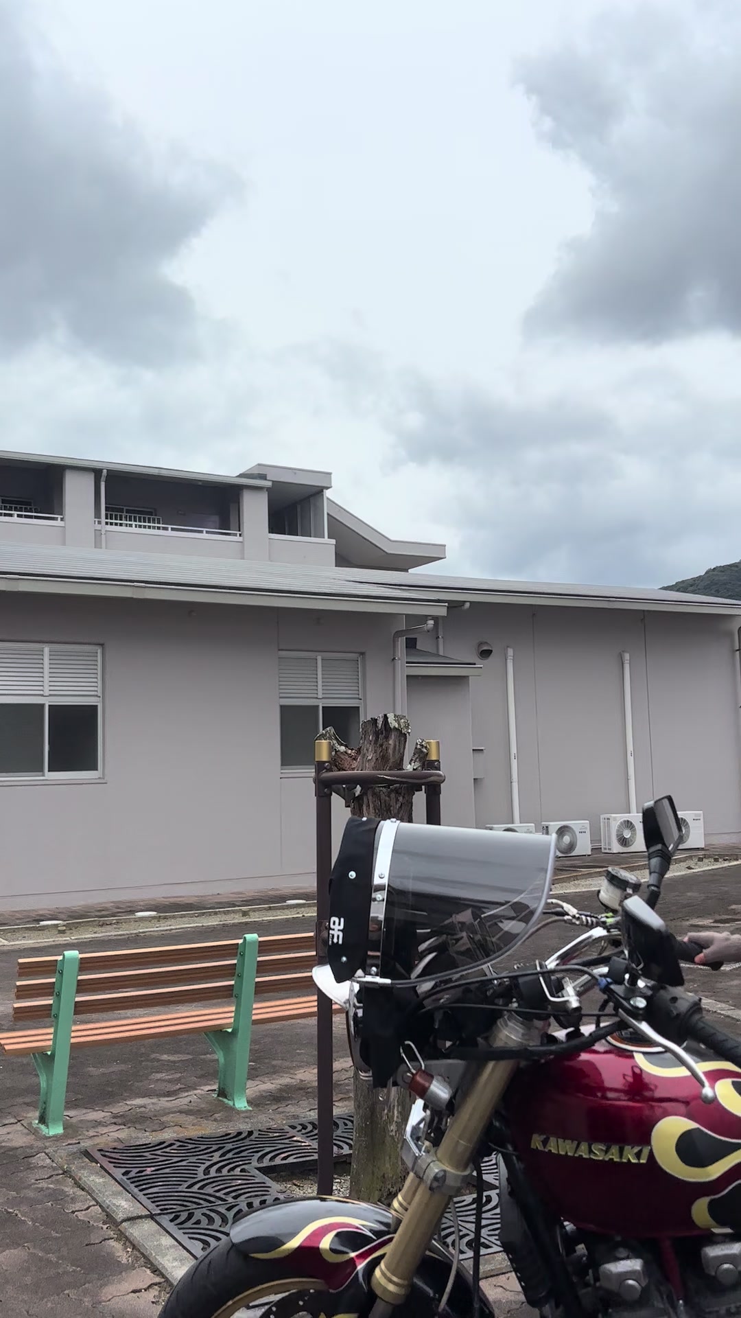 @根性みせなね😽