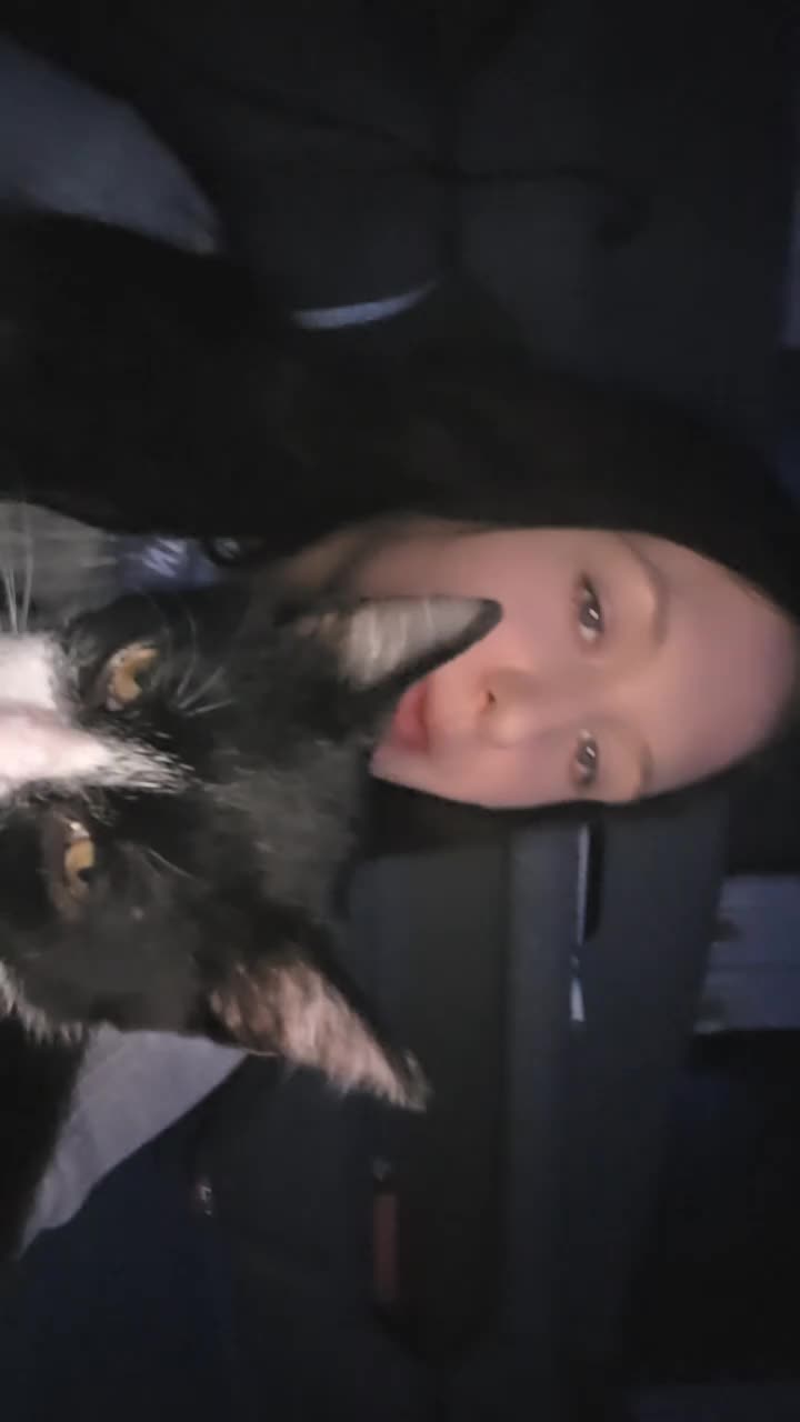 @gib_mir_ne_schildkröde_duhund