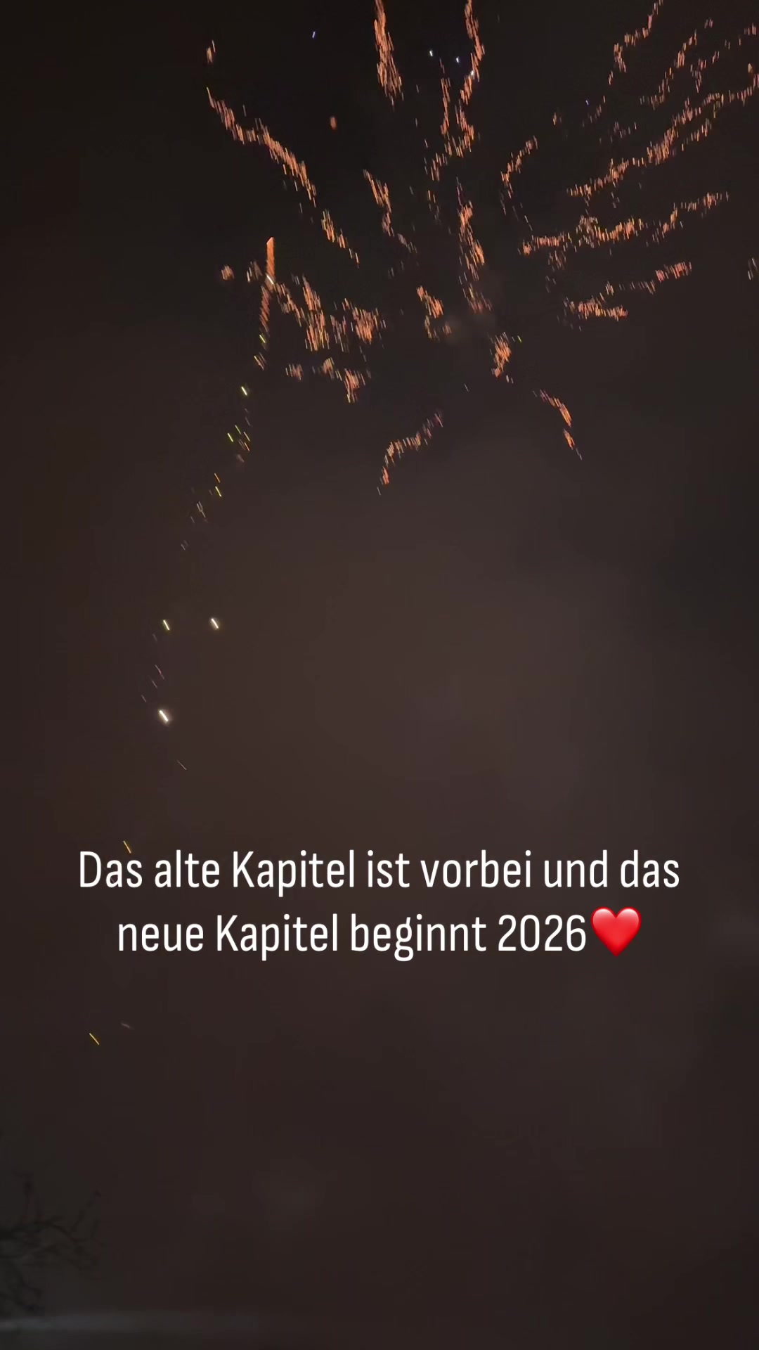 @Seine _Frau241124