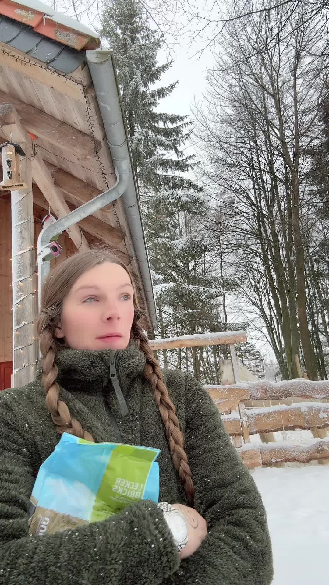 @HafiHorse2