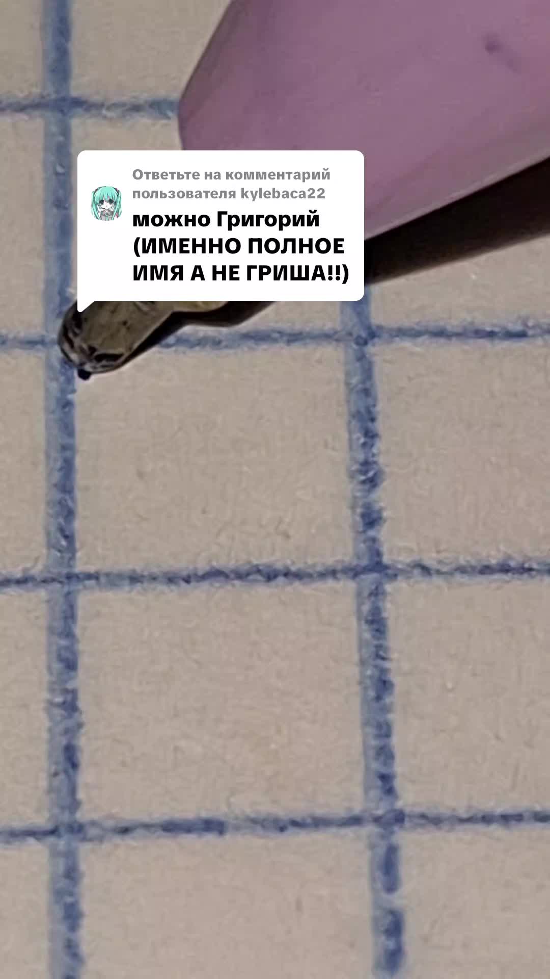 @Введите никнейм