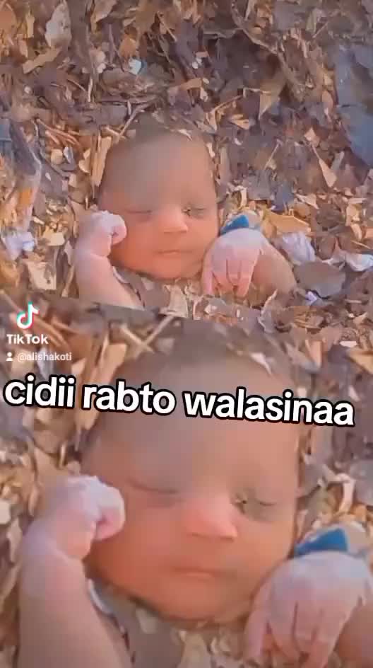 @ALI SHAKOTI