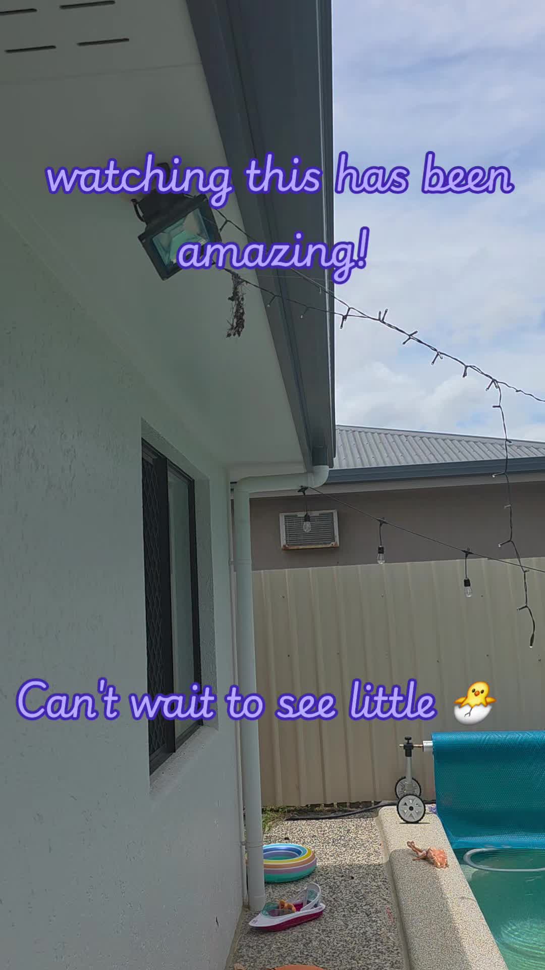 @The Small Collective 🇦🇺