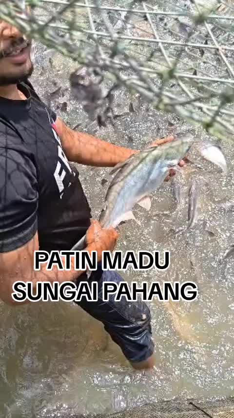 @HAN 4X4