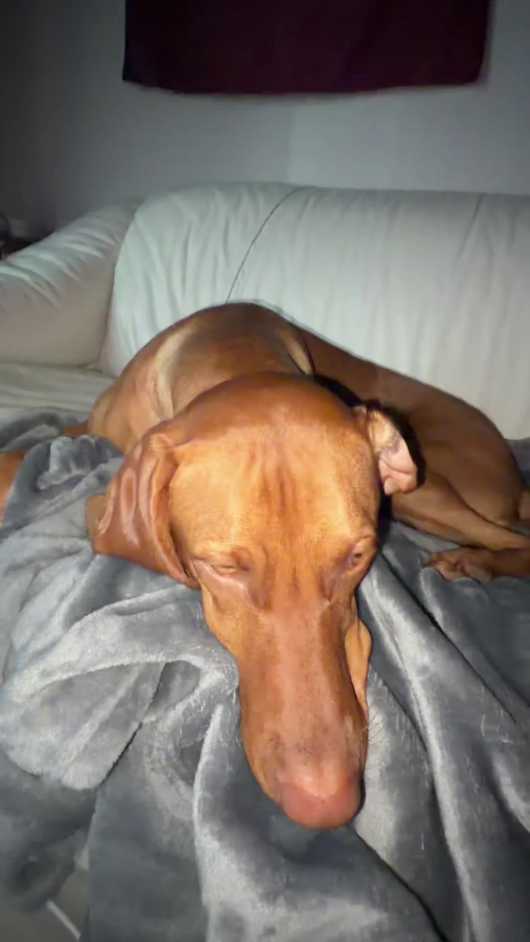 @bigcheeks4lyfe