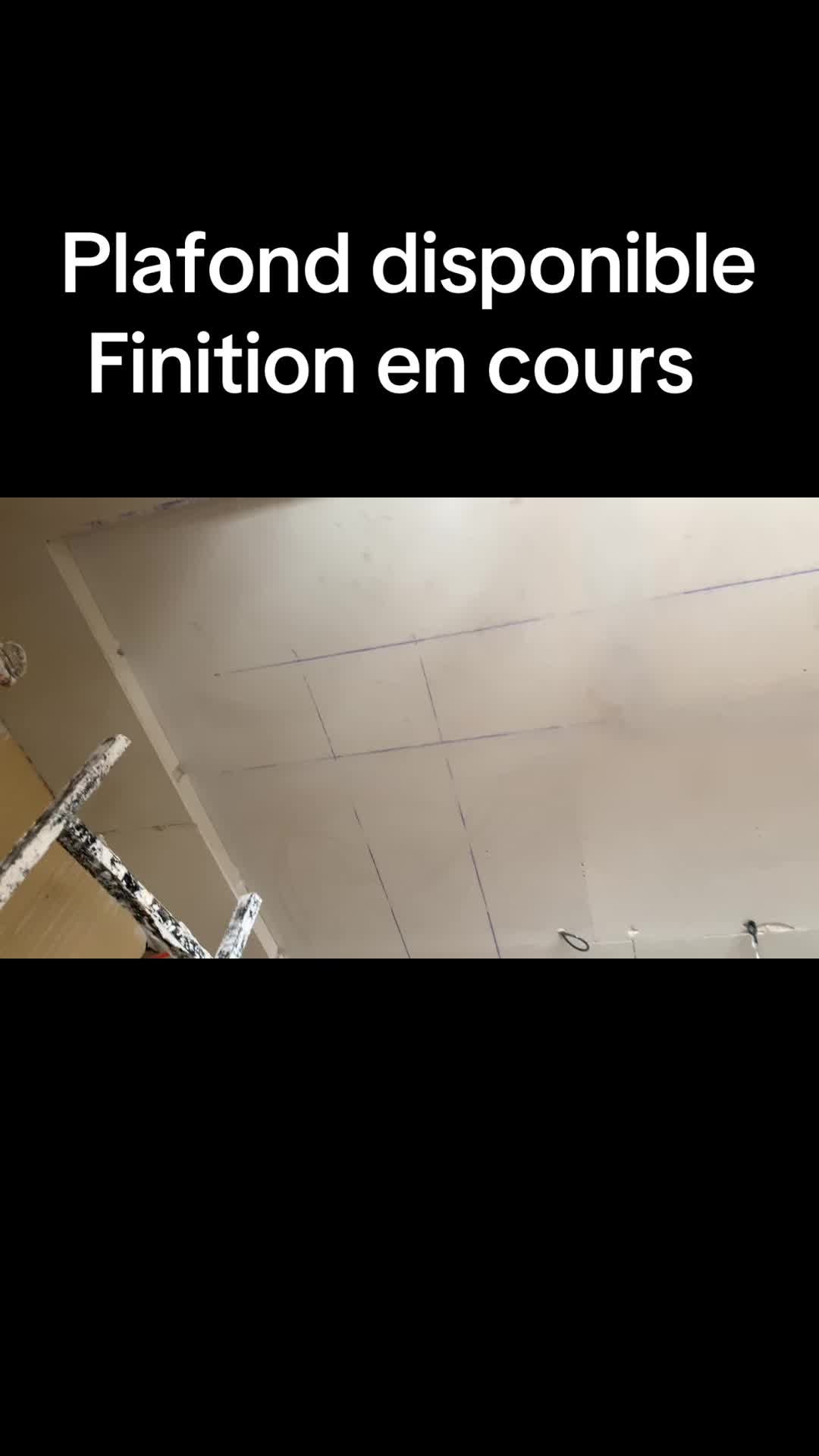 @Plafond 241✪🦺