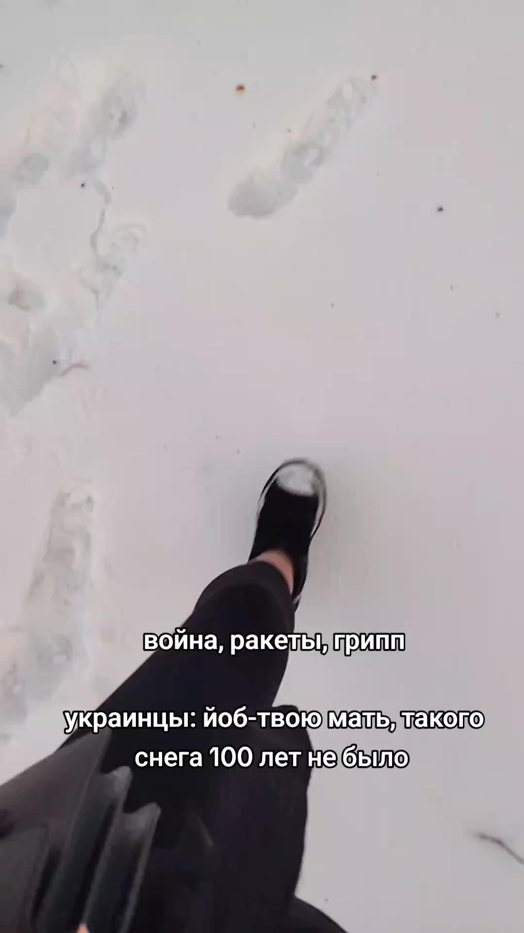 @eliseeva.oksi🇺🇦