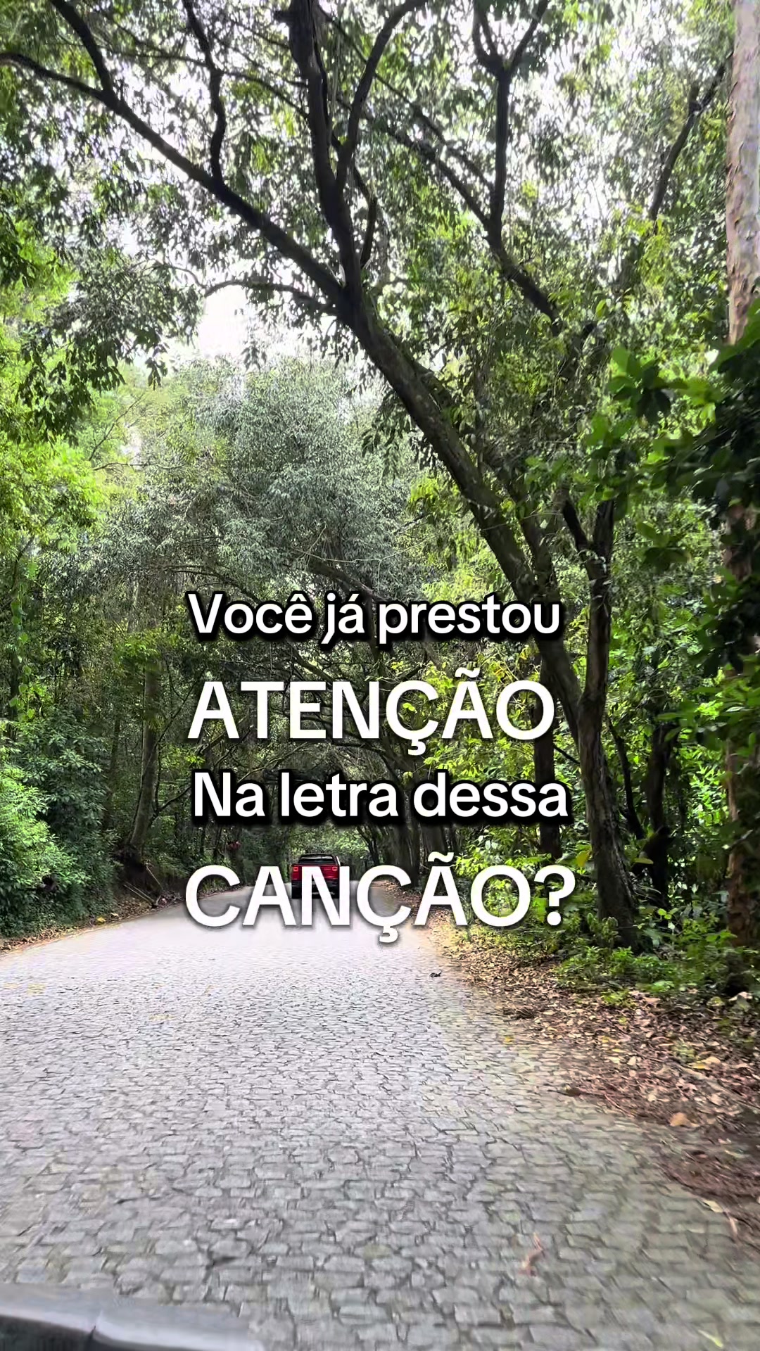 @Testemunho da Luz