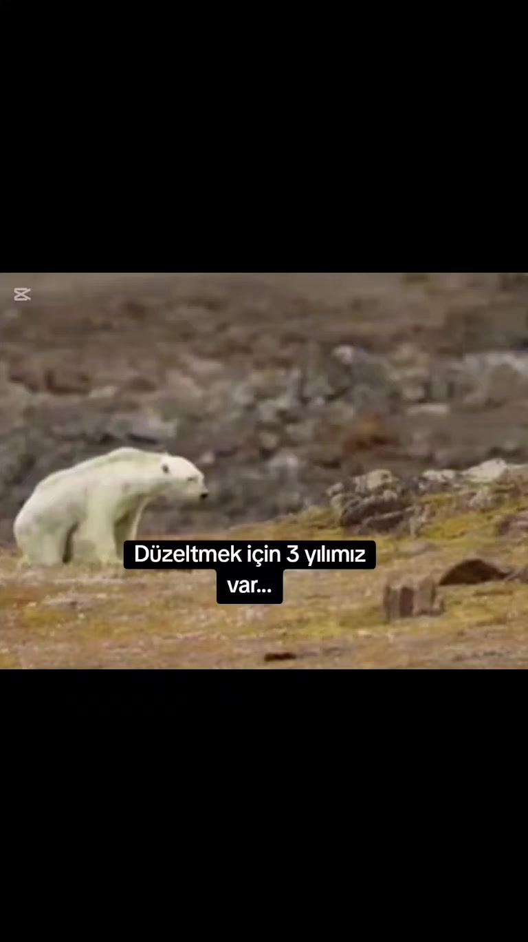 @Babapirogeldi😝😨👍🎀🥰😻