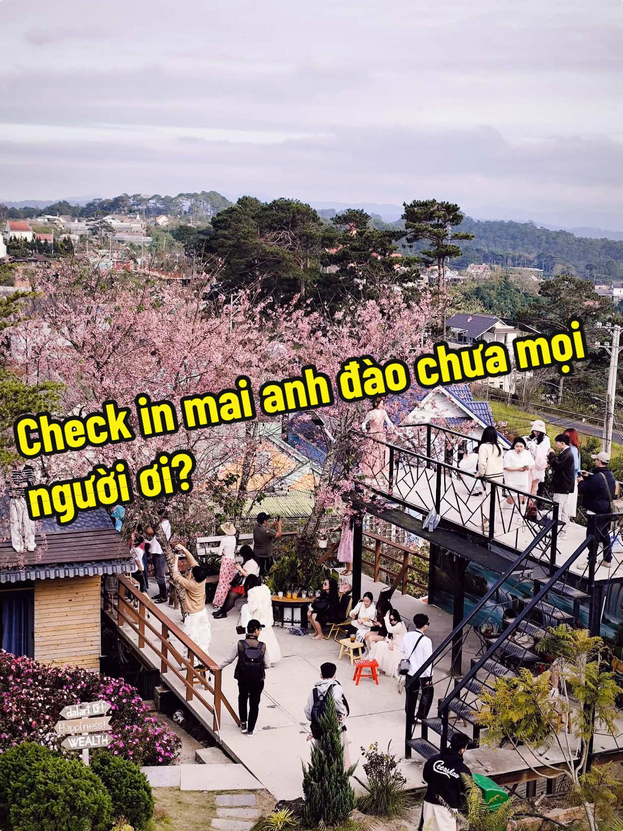 @Hỷ Lạc Du K&yacute; 🇻🇳