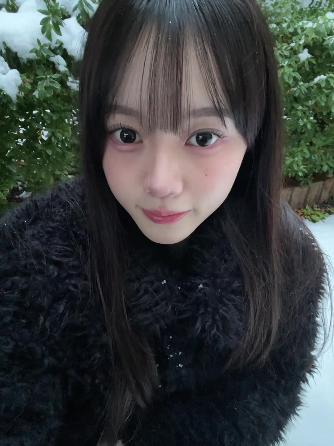 𝗆𝖺𝗒𝗎 (@_zxqv0) - Urlebird