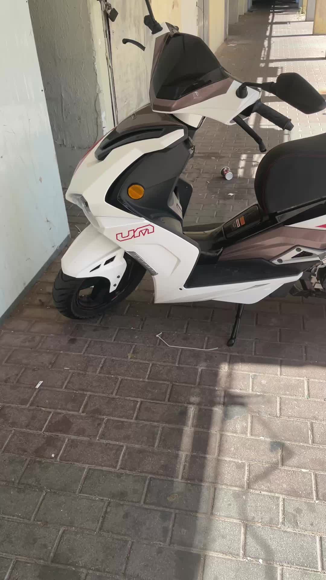 @החלילן מי המלט