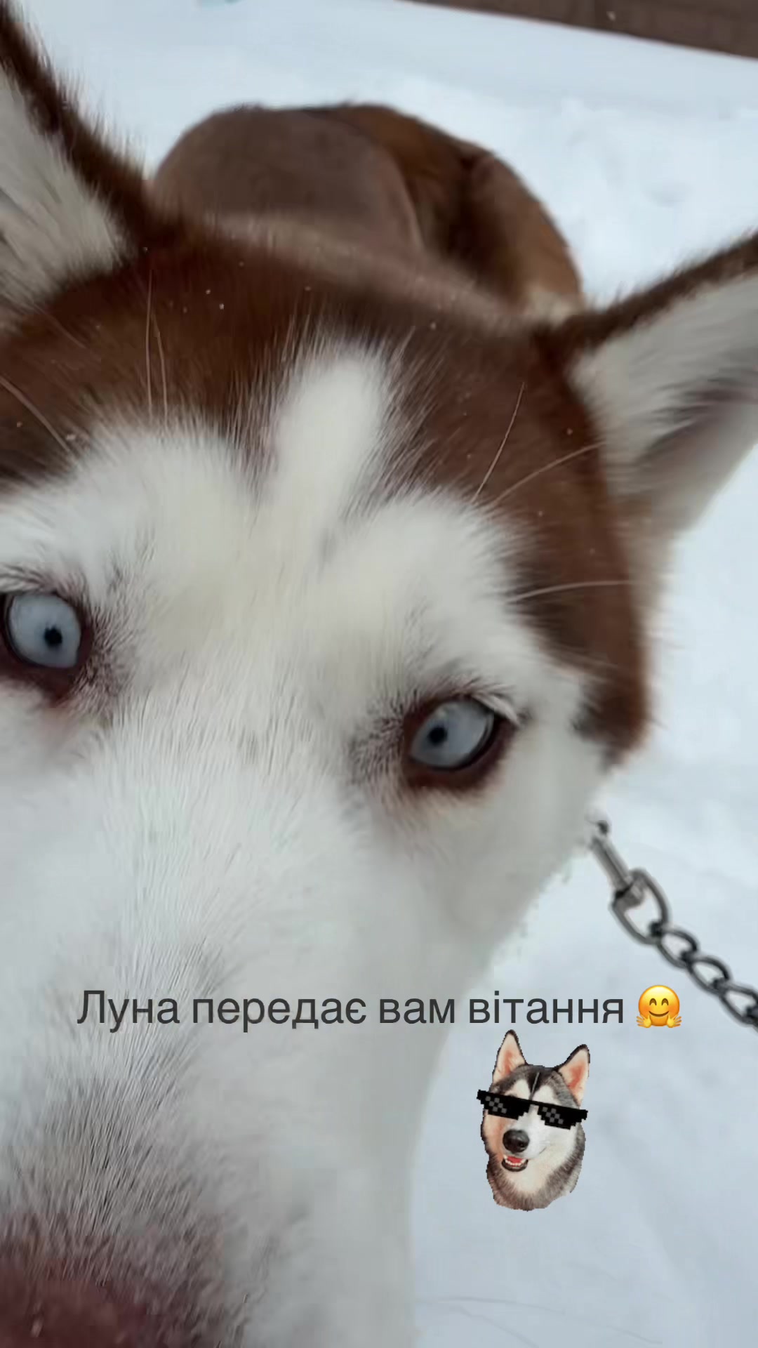 @Ксюша