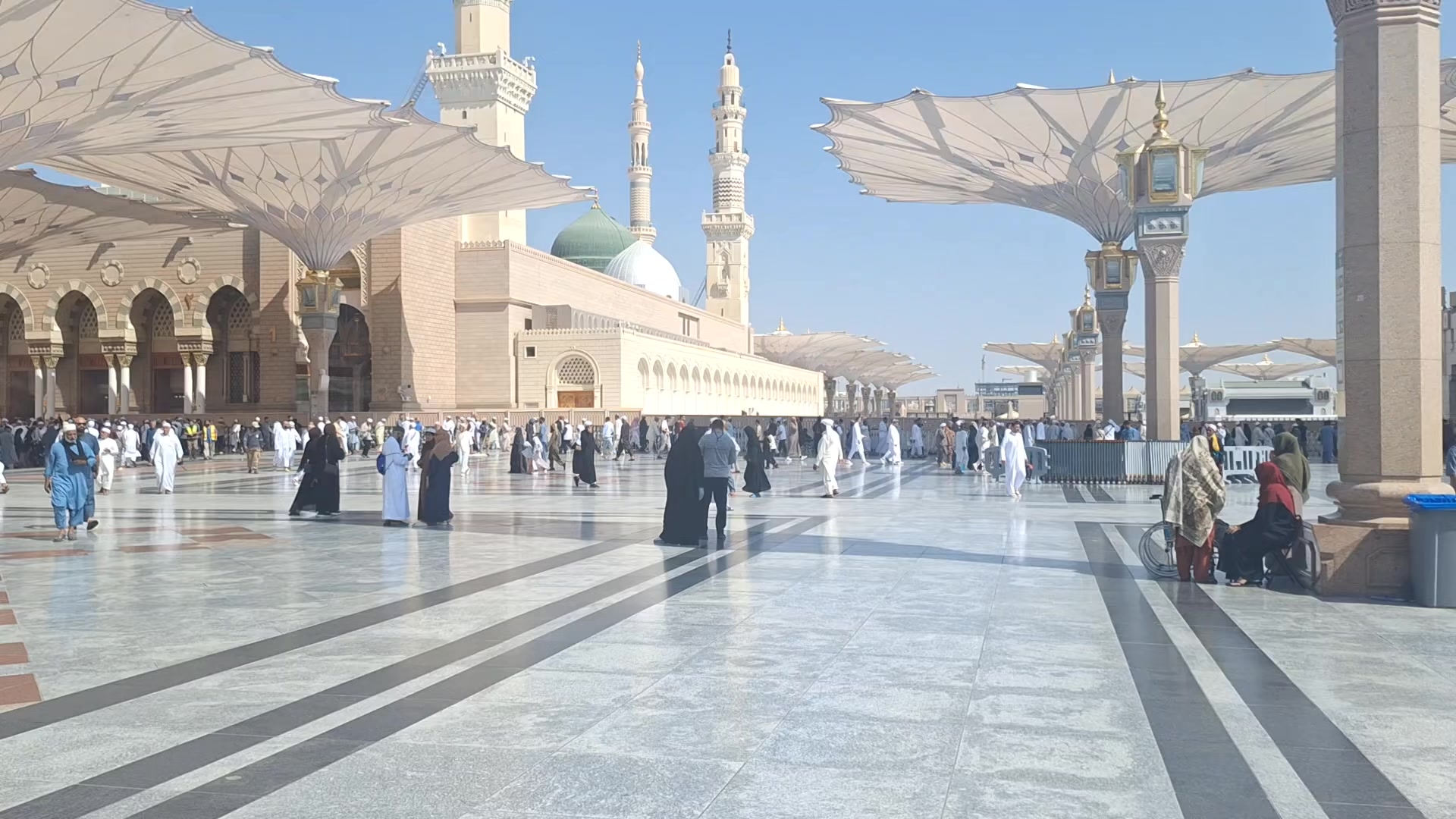 @Zaadi007