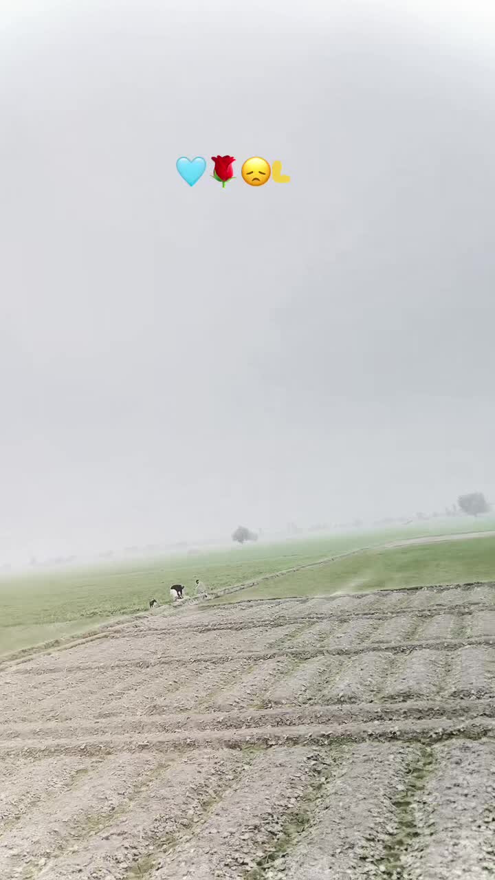 @ɴᴜᴍᴀɴ