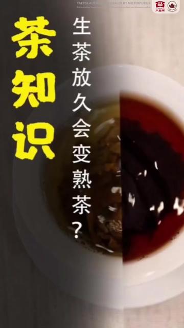 @misterpuerh ชาผู่เอ๋อร์ต้าอี้
