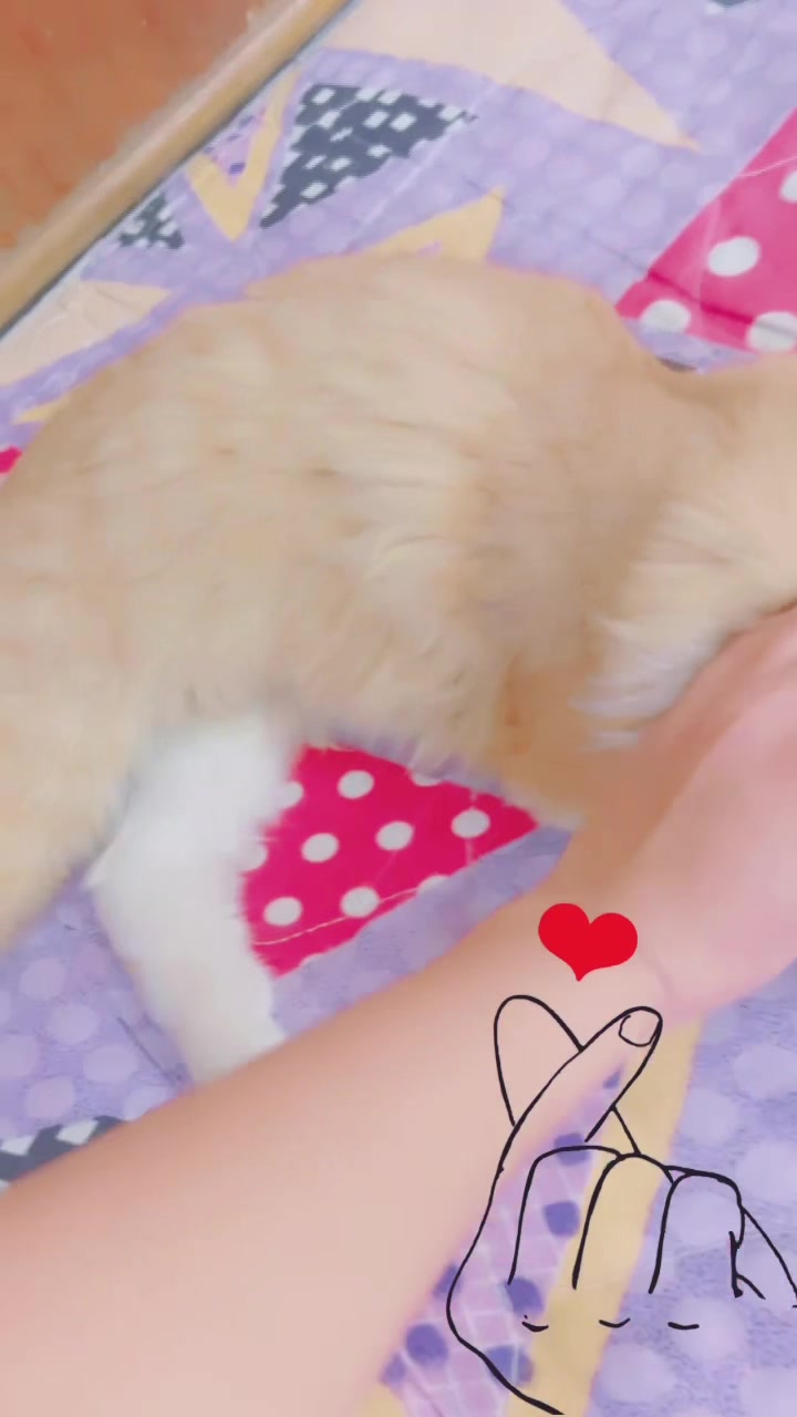 @💜تسواهن 🧿بت ديالى💜