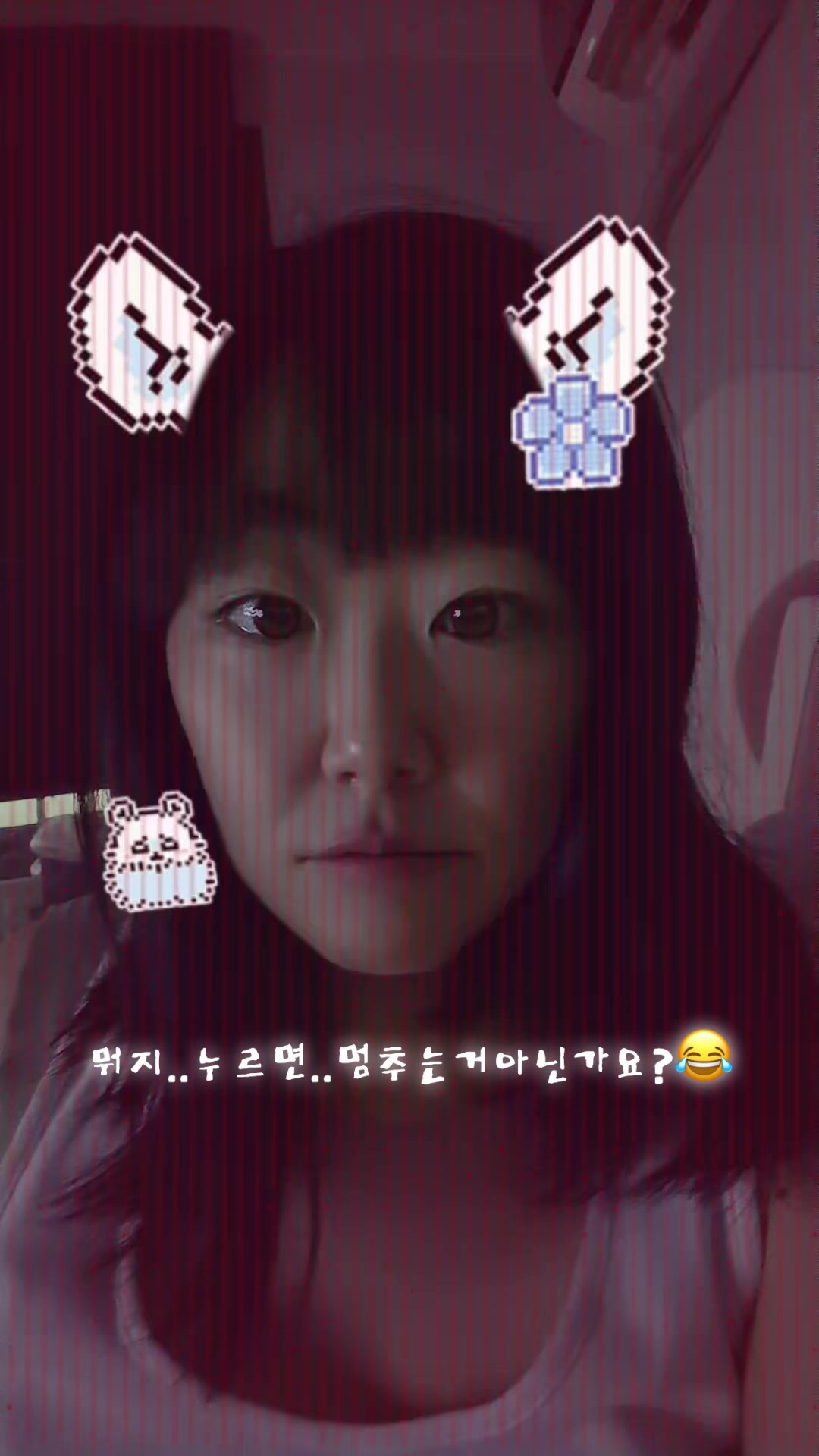 @복토끼🐰
