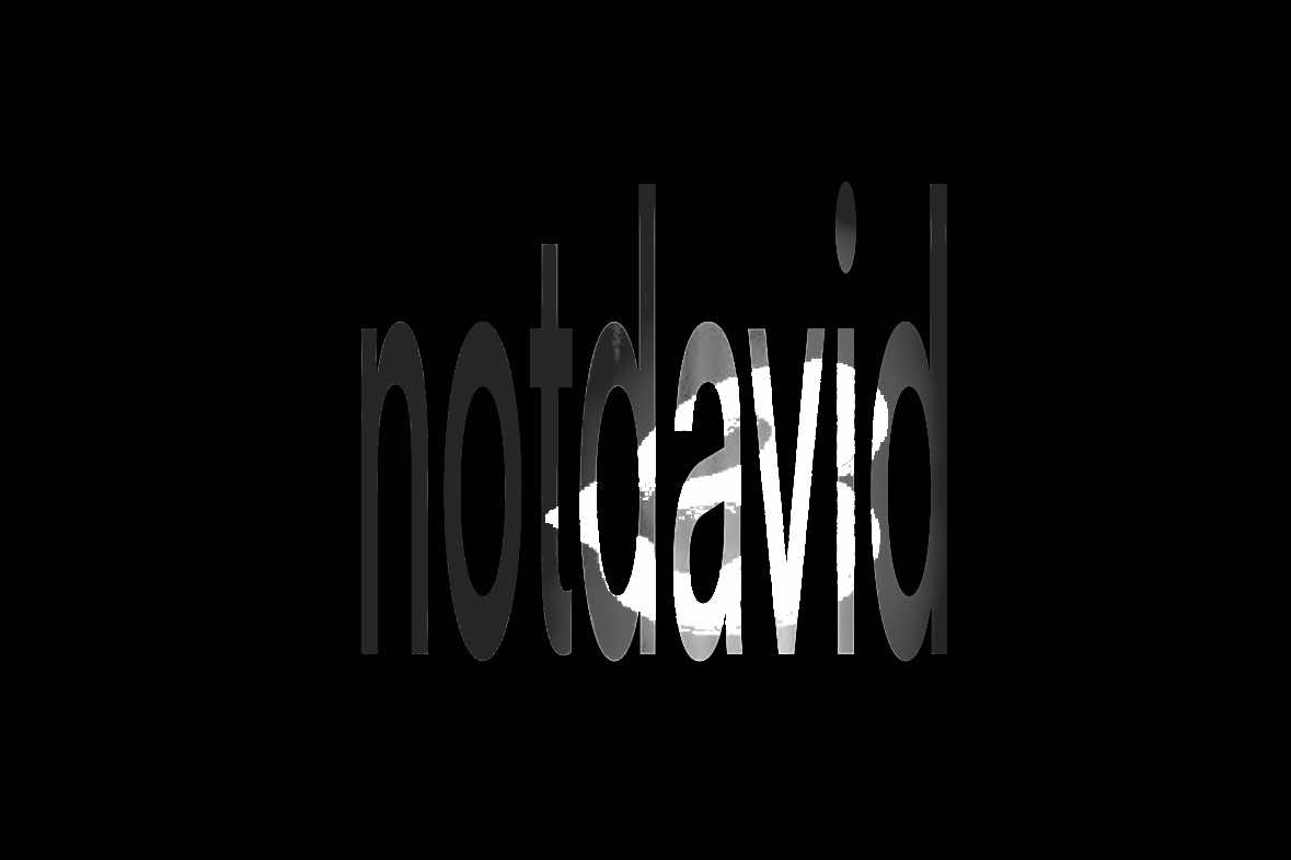 @notdavid