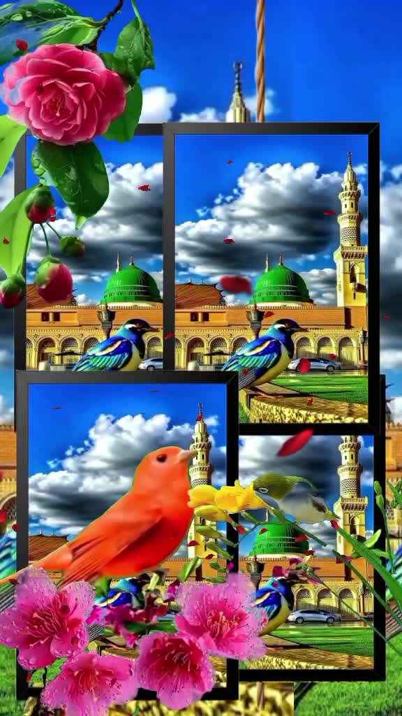 @M Saleem M Saleem
