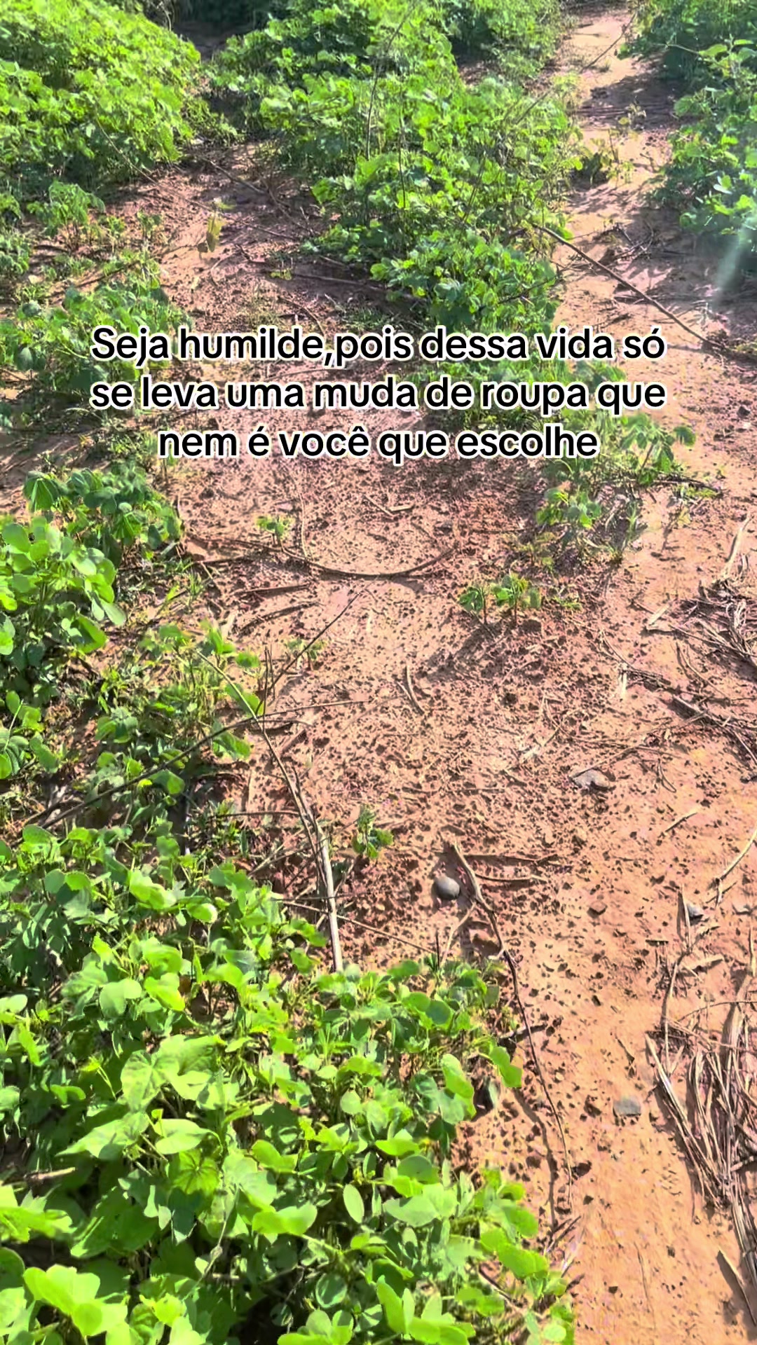 @Ronaria Moura💗