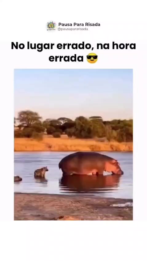 @Railda Oliveira
